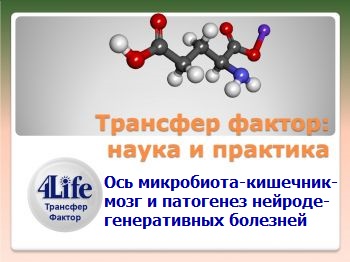 Ось: микробиота-кишечник-мозг